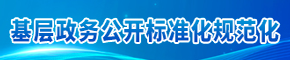 基层政务公开标准化规范化