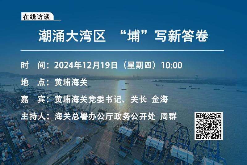 【在线访谈】潮涌大湾区 “埔”写新答卷